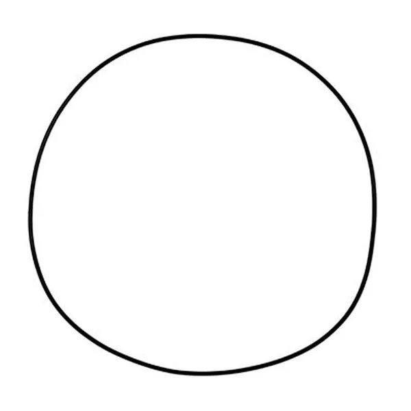 Clutch Cover Gasket-0