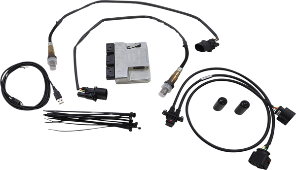 Ecm With Integral Auto Tune System Kit, 2, nordicamoto.ro