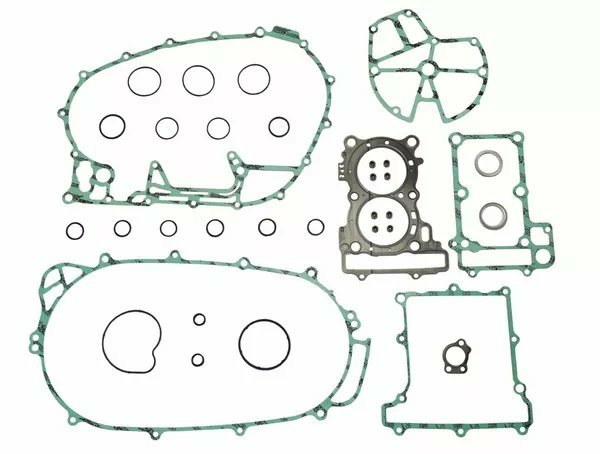 Complete Gasket Kit -eb84891bafd8e4f2a4fab01d7d9e0fe3.webp