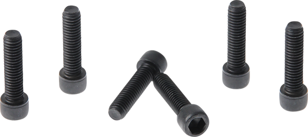 Fork Triple Clamp Screws Black, 2, nordicamoto.ro