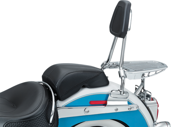 Sissy Bar Harley Davidson Black, Silver, 2, nordicamoto.ro
