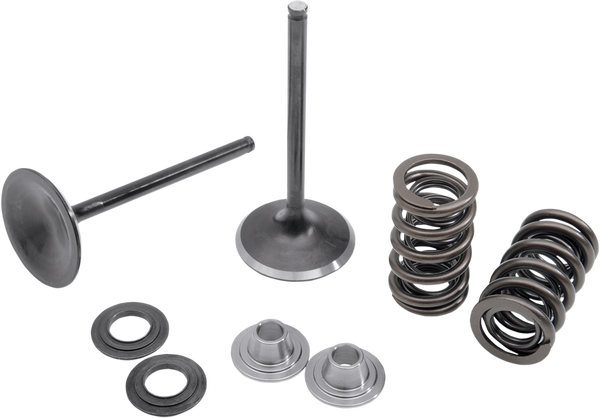 Stainless Steel Conversion Valve And Spring Kit, 1, nordicamoto.ro