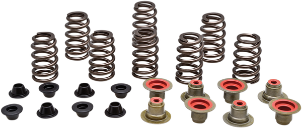Valve Spring Kit, 1, nordicamoto.ro