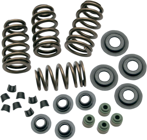 Sidewinder® .650(r) Valve Spring Kit, 1, nordicamoto.ro