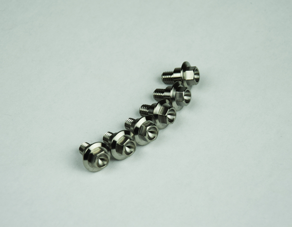 Titanium Screws Unfinished 