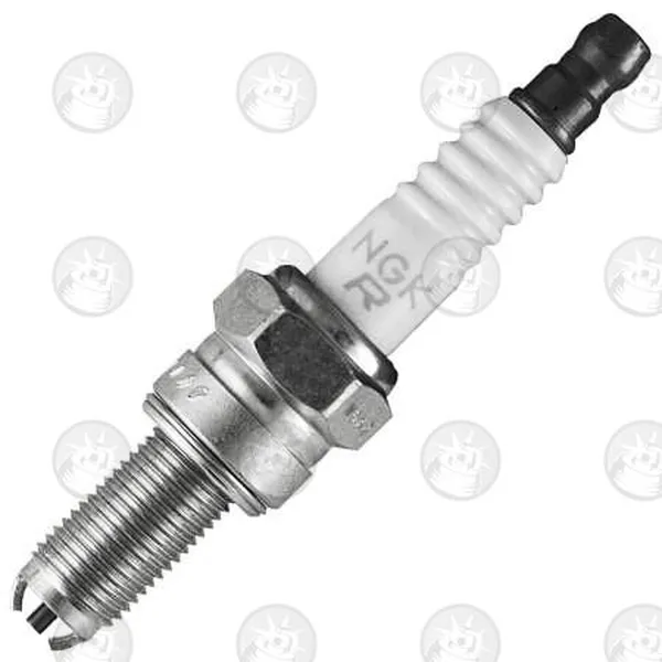 Special Spark Plug-2