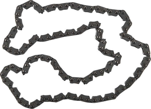 Cam Chain Raw-f3b41dde4bece60ab64fc95bd47f3bfa.webp