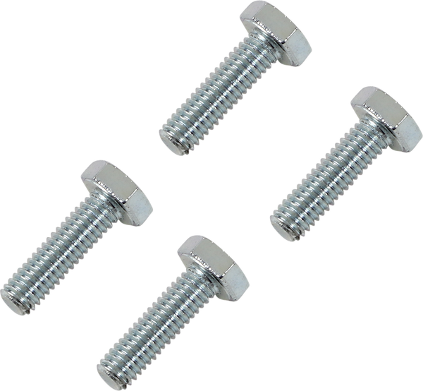 Rotor Bolt Kit Silver-f3be0098b9835047f2c46bc609b648e5.webp