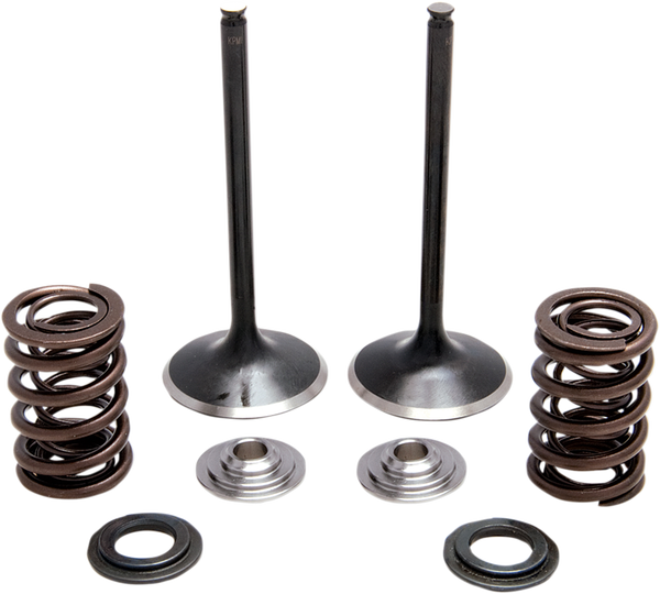 Stainless Steel Conversion Valve And Spring Kit, 1, nordicamoto.ro
