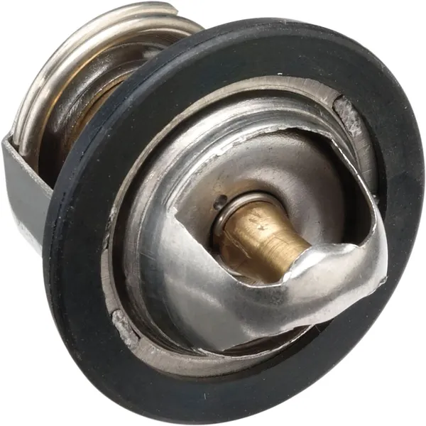 Replacement Thermostat -f5fab6c8529d1280a52700e61a557204.webp