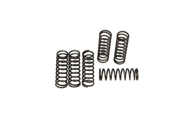 Set arcuri ambreiaj CSK, 1, nordicamoto.ro