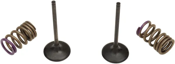 Valve And Spring Kit