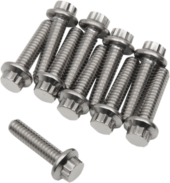 Bolt 12pt 1/4-20x1 Gray, 2, nordicamoto.ro
