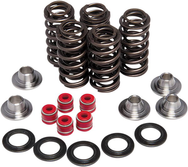 Valve Spring Kit, 1, nordicamoto.ro
