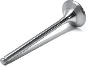 EXHAUST VALVE