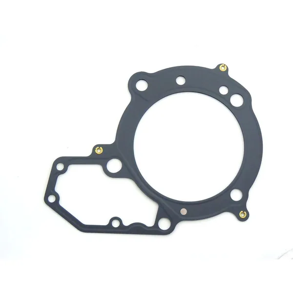 Cylinder Head Gasket-0