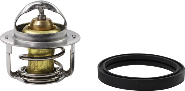 Thermostat Silver, 1, nordicamoto.ro