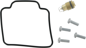 Economy Carburetor Repair Kit