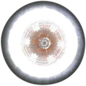 Probeam® Universal Led Bullet Bezel Turn Signals Chrome, 1, nordicamoto.ro