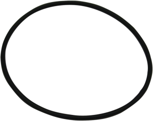 O-ring