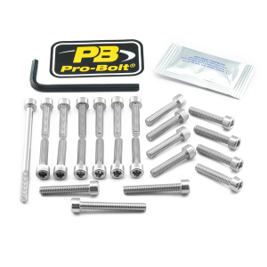 Bolt Kit Silver