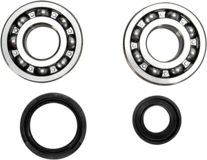 Crankshaft Bearing And Seal Kit