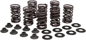 Valve Spring Kit, 1, nordicamoto.ro