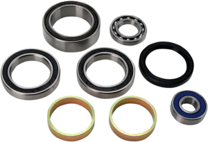 Chain Case Bearing And Seal Kit