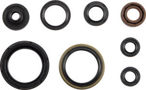 Oil Seal Set, 1, nordicamoto.ro
