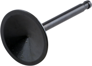 Nitrided Valve
