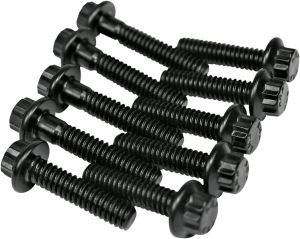 Cam Plate And Oil Pump Fastener Kit Black, 1, nordicamoto.ro