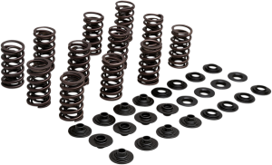 Lightweight Racing Valve Spring Kit