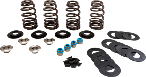 Beehive® Valve Spring Kit, 1, nordicamoto.ro