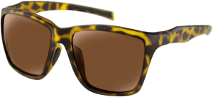 Anchor Sunglasses Brown