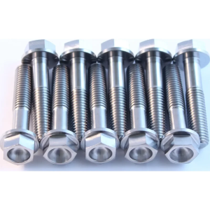 Titanium Screws