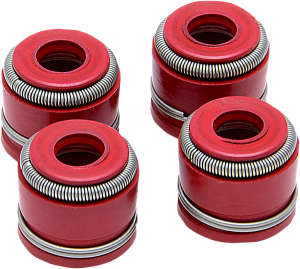 Valve Guide Seal Kit
