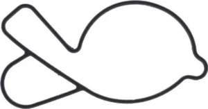 WATER-PUMP GASKET, nordicamoto.ro
