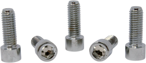 Replacement Socket Head Bolts Silver, 1, nordicamoto.ro