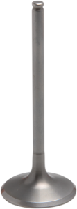 Tensilite® Engine Valve