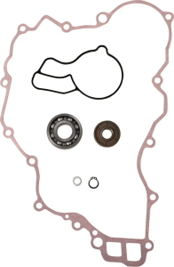 Water Pump Rebuild Kit