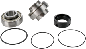 Chain Case Bearing And Seal Kit