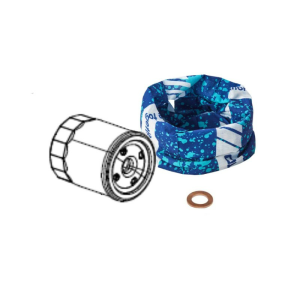 ANSAMBLU FILTRU DE ULEI PENTRU MOTOR, 2, nordicamoto.ro
