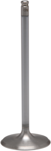 White Diamond Engine Valve
