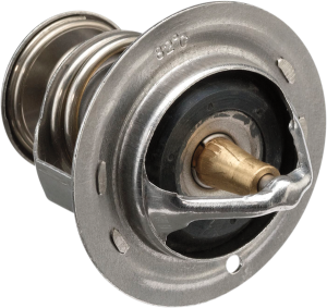 Replacement Thermostat 