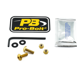 License Plate Screws Gold, 1, nordicamoto.ro