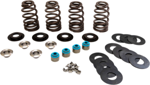 Beehive® Valve Spring Kit, 1, nordicamoto.ro