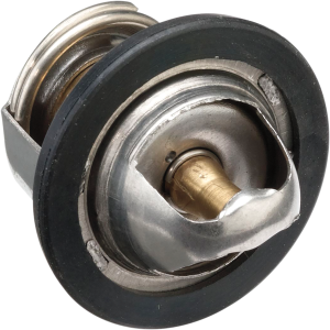 Replacement Thermostat 
