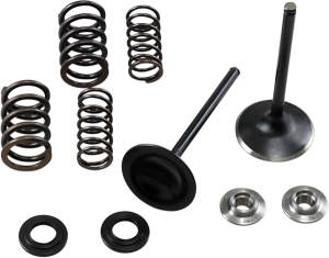 Stainless Steel Conversion Valve And Spring Kit
