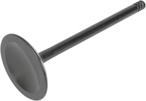 Nitrided Valve