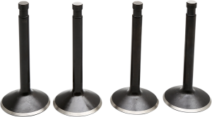 Engine Valve Kit